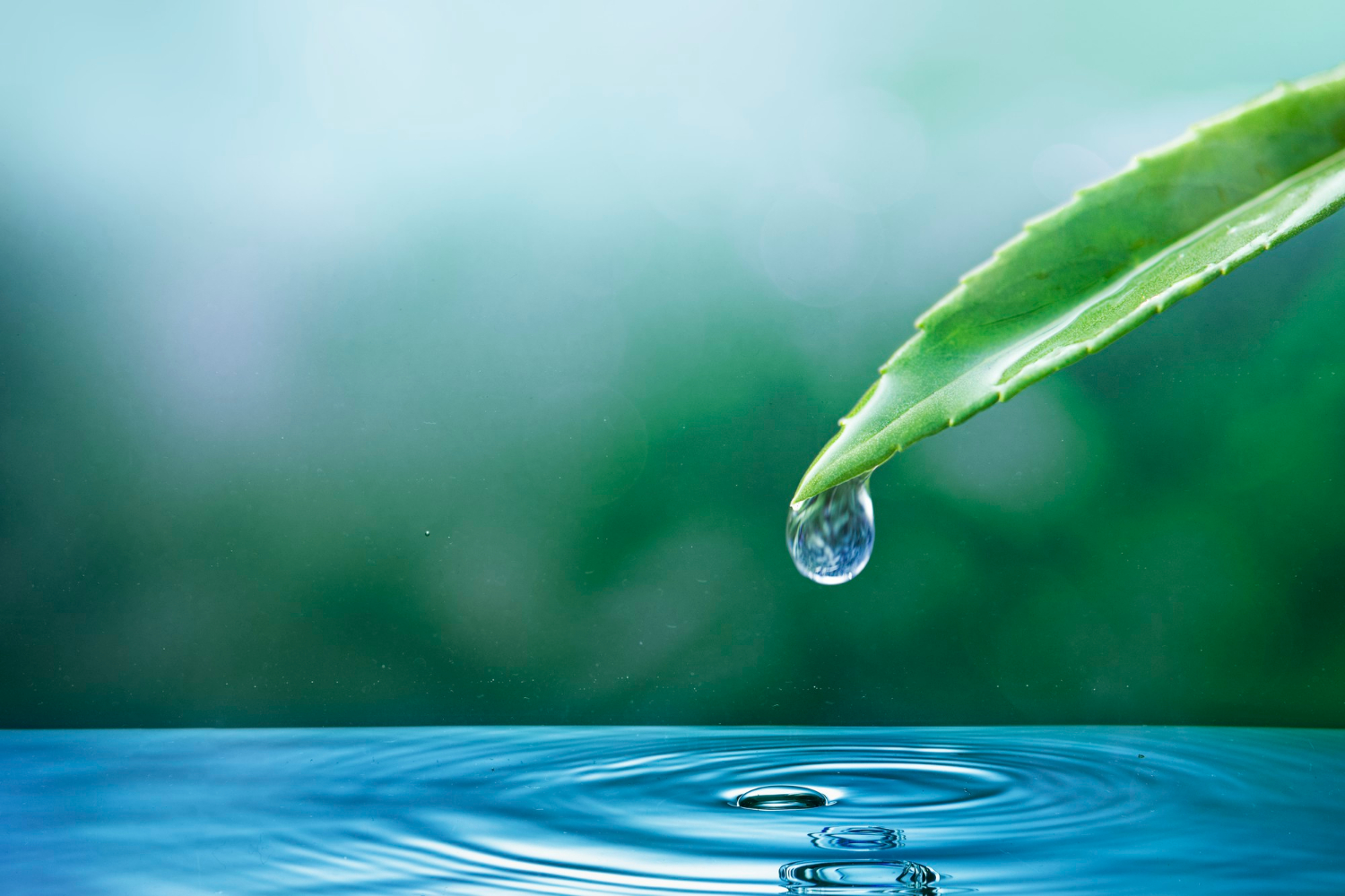 ecosystem-water-drop-nature-background-earth-day-campaign.jpg